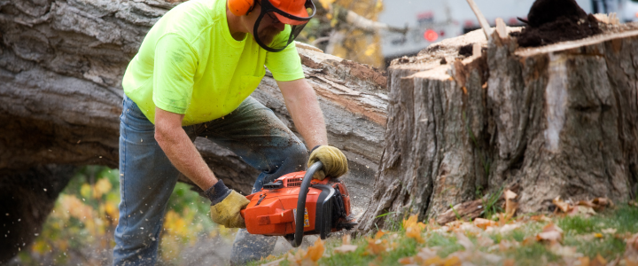 Fall Safety Tips: Autumn Safety Reminders for the Workplace - Safety By ...